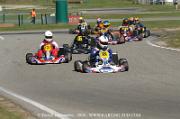 DSC_0005 (3)